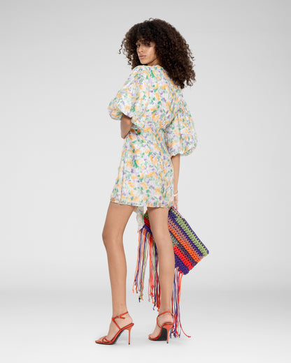 Rainbow Fringe Clutch