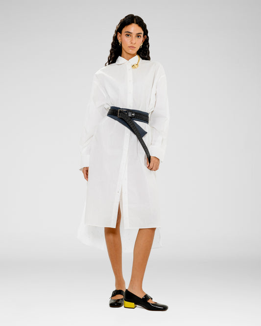 The IT Shirt Dress